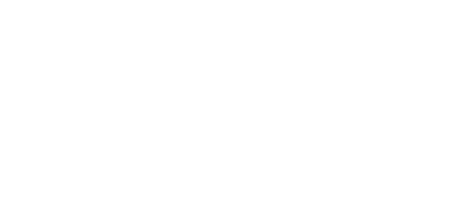 nousi wealth